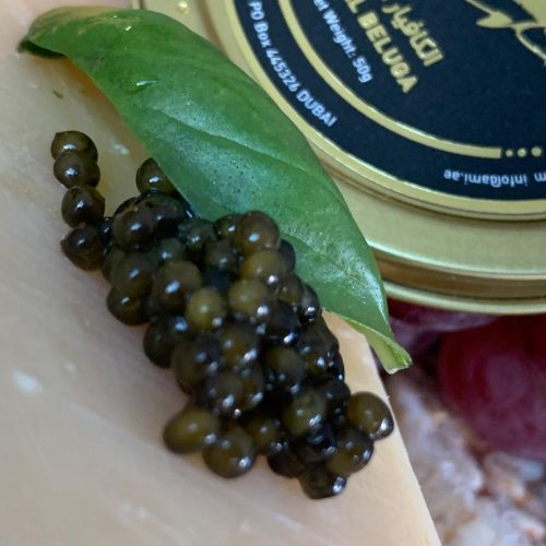 Beluga-caviar-in-saudi